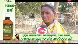 Subarnapur: Lemon grass rice made women independent । AmaGaonAmaKhabar
