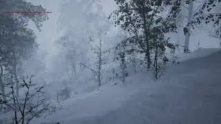Broadleaf Forest - Winter is coming in the Forest ❄️ - Carpathian Survival #indiegame #games
