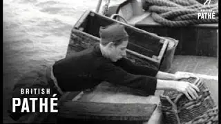 Pub & Pub Games (1946)