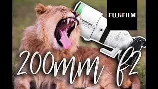Fujifilm's $6000 - Fujinon 200mm f2 & Fujifilm XT3/African Safari Trip.