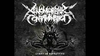XENOMORPHIC CONTAMINATION - Alien Deception