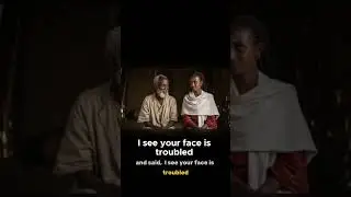 The Quest for a Lion&rsquo;s Whisker  A Woman&rsquo;s Journey