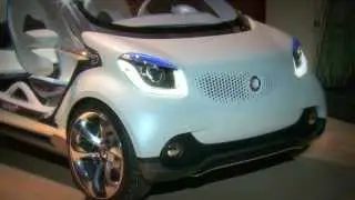 2014 Smart fourjoy  Static