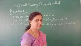 Cell Wall Staining by Chance's method by Dr. Manisha Sapkal