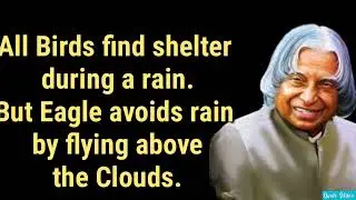 All Birds Find Shelter During A Rain 🌧️ |   APJ ABDUL KALAM QUOTE VIDEO |