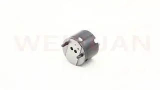 WEIYUAN Common Rail Injector Valve 625c 28277576 for Delphi diesel injector
