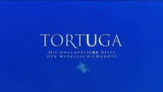 [HD] Tortuga - Die unglaubliche Reise der Meeresschildkr&ouml;te Trailer