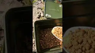 Hemseed pellets6mm boillies tigernuts #youtube #carpfishing