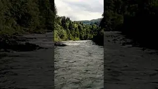 Black River.. Kali Nadi.. Black River..