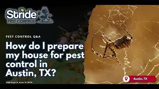 How do I prepare my house for pest control in Austin, TX &bull; (512) 777-1339 Austin Pest Control