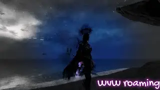Gw2 thief D/P core and daredevil wvw roaming