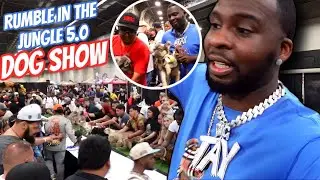 RUMBLE IN THE JUNGLE DOG SHOW WAS TO CRAZY