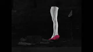 Posters into Film: Borowczyk, Lenica, and the Cartoon Renaissance | Trailer