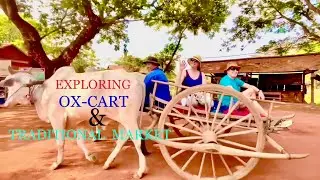 Exploring Traditional Ox-Cart And Market with John And Sian From London, England. By Local Guide RA