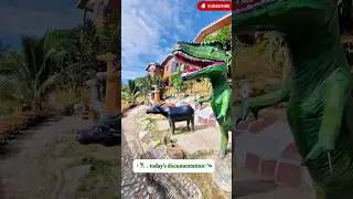 Today&rsquo;s episode 💚😇 #travel #travelvlog #nature #paradisephilippines #vacation #discoverph #shorts