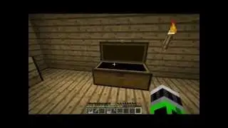 Minecraft Survival 
