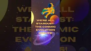 We&rsquo;re All Stardust: The Cosmic Evolution Awaits! #shorts  #neildegrassetyson