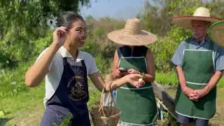 Smile organic farm