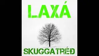 Catch The Falling Sky &ndash; Lax&aacute; & Heima Kvartett | Dreamy Icelandic Post-Rock with Cello