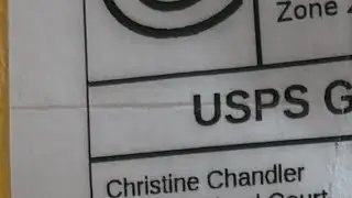 Official Chris Chan Sonichu Plushie Unboxing