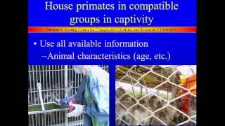 Socialization of Nonhuman Primate Groups