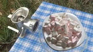 Experiment Marshmallow VS Meat Grinder