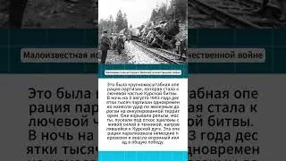Рельсовая война: Как 100 000 партизан в одну ночь парализовали немецкий фронт под Курском