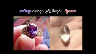Ancient Queen's Ring & Magic Dove Egg