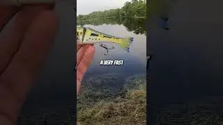 Хорош ли соперник Googan Squad? #bassfishing
