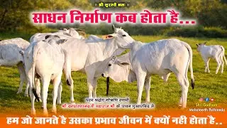 साधन निर्माण कब होता है | जीवन में गौ माता के लाभ | गोऋषि महाराजश्री Shree Godham Mahatirth Pathmeda