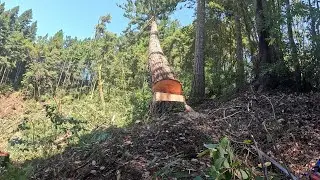 Best Falling Clips of 2025