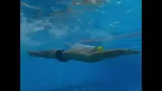Main effects of backstroke 🏊🏊🏊 #swimming #swimtimelog #swimmingcoach #swim