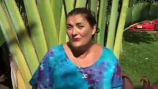 Cow Tips from the Cosmic Cow Pie... Walking Billboard