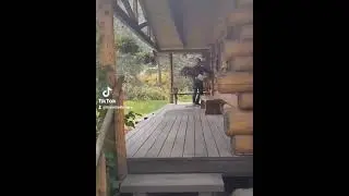 My Stay at the Kenai River Lodge in Alaska