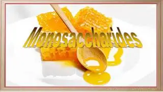 WCLN - Monosaccharides - Biology