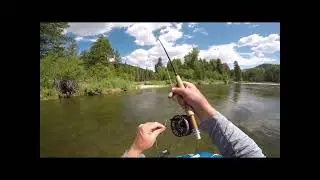 West Fork Bitterroot River / Montana #fishing #floating #cutthroat