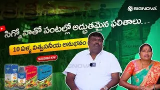 Better Crop Results & Higher Yields for Farmers🌾| Dealer's 10 Years of Trust with Signova #crops