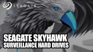 Seagate SkyHawk - Smart, Safe, Secure - Surveillance Hard Drives (ST10000VX0004)