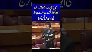 Talal Chaudhry slams PTI protests on Aug 5 | No interest in arresting Aunty Rehana #pmln #pti #news