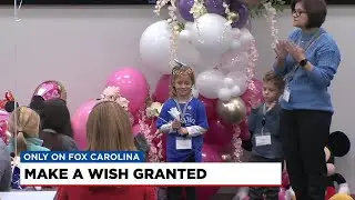 Make-A-Wish granted for Greer girl battling rare disease