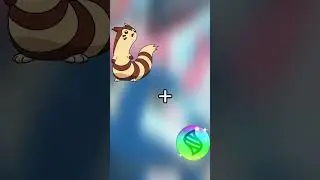 What If Furret have a Mega Evolution #pokemon #shorts