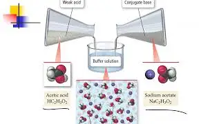 Chapter 16  - Aqueous Ionic Equilibia
