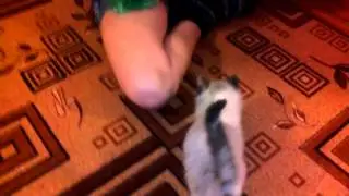 VID 20151025 200039