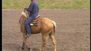 Bob Mayhew The Basic Principles of Western Riding