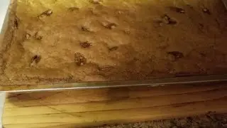 How to make Chew Bread Old School Style #cookingwithSmileyzandfamily