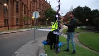 Pilot Lights - Digital Placemaking Studio Exhibition