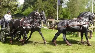 MOURIER Sebastien, FRA, RWHS 2016 CAIP4, Windsor GB, Horse Four in Hand, Marathon O 7,14 05 2016