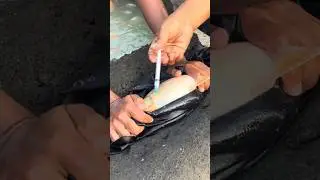 Crap Fish Injection #Shorts