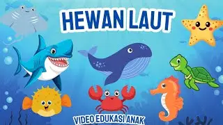 Mengenal 50 Hewan Laut | Belajar Nama Hewan Laut untuk Anak | Video Edukasi Anak PAUD & TK