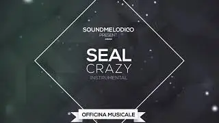 Instrumental Seal - Crazy
